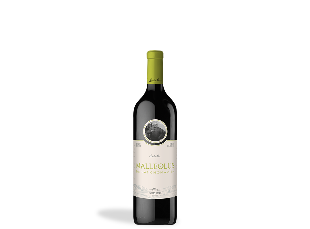Malleolus de Sanchomartín 2021