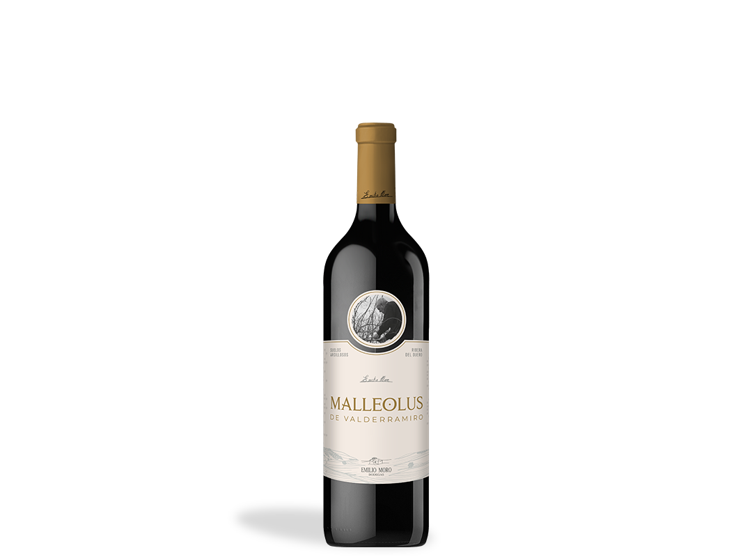 Malleolus de Valderramiro 2021