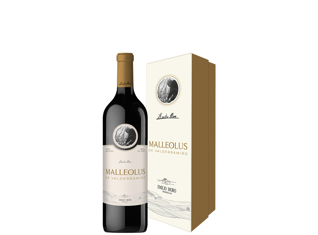 Malleolus de Valderramiro 2021 - Botella 75cl en estuche