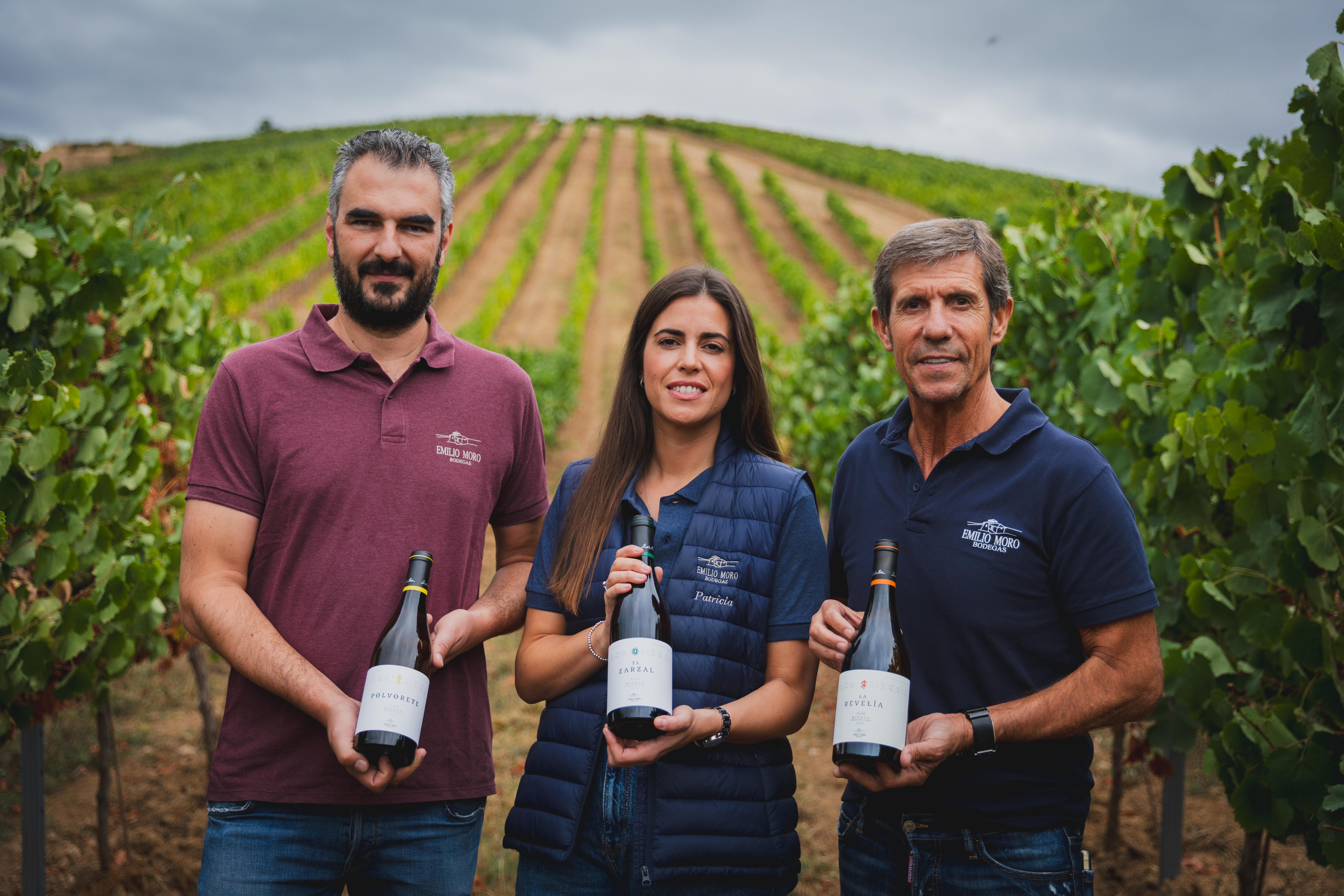 Bodegas Emilio Moro culmina una vendimia exigente y prometedora: Ribera del Duero y El Bierzo consolidan su potencial en una campaña marcada por el equilibrio y la exigencia